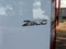2025 Mercedes-Benz Sprinter 2500 Standard Roof I4 Diesel 144" RWD