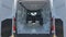 2025 Mercedes-Benz Sprinter Cargo Van 2500 Standard Roof I4 Diesel 144 RWD