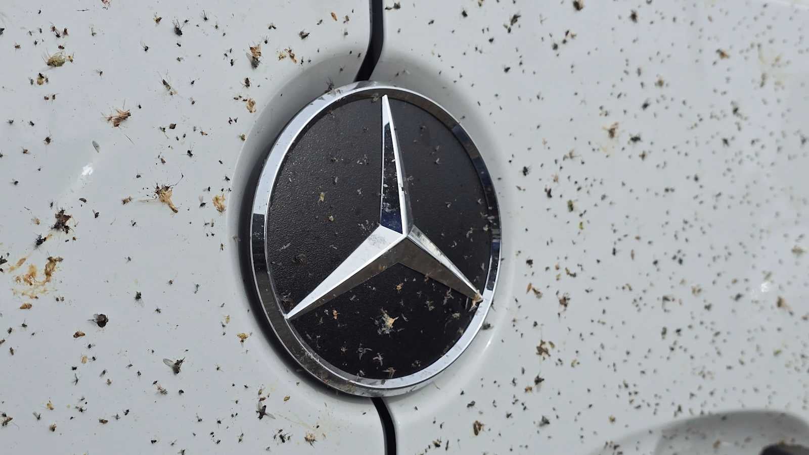 2026 Mercedes-Benz Sprinter 2500 Standard Roof I4 Diesel 144 RWD