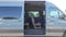 2026 Mercedes-Benz Sprinter Passenger Van 2500 Standard Roof I4 Diesel HO 144 AWD