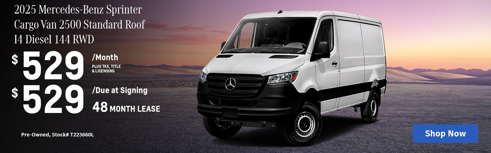 Sprinter