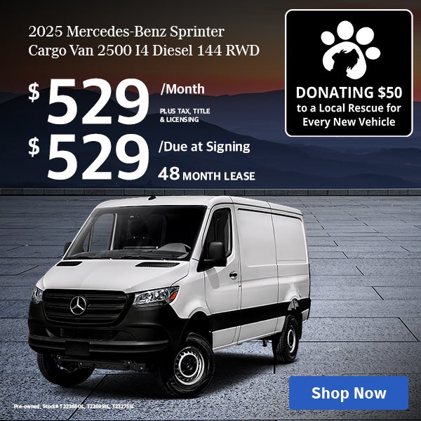 Sprinter