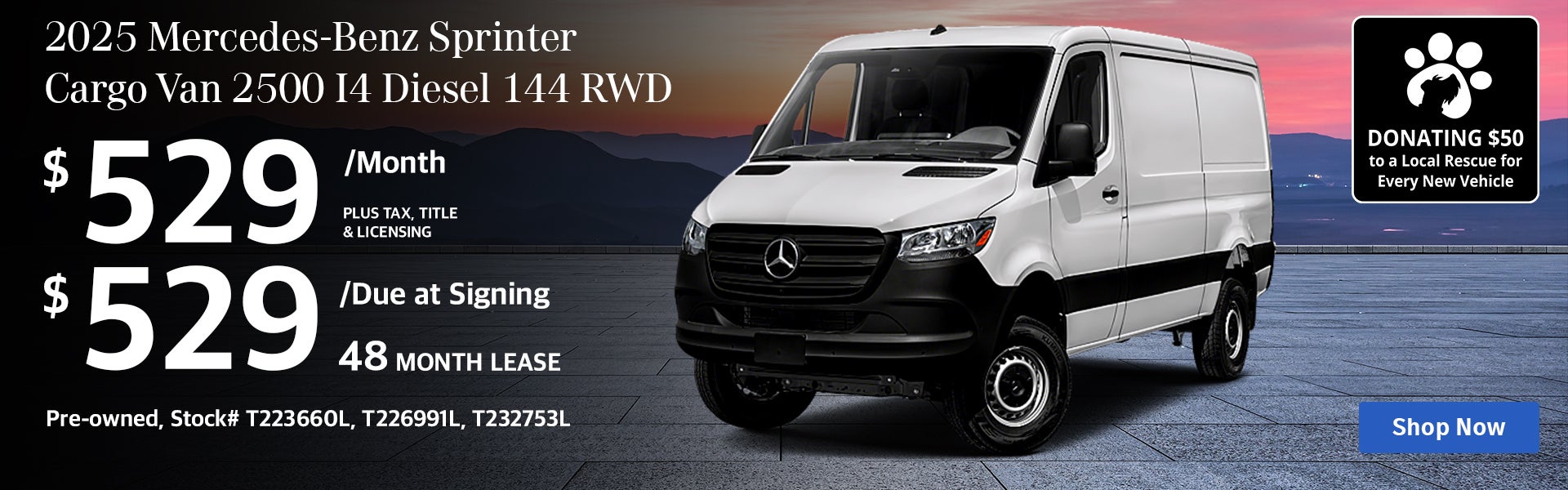 Sprinter